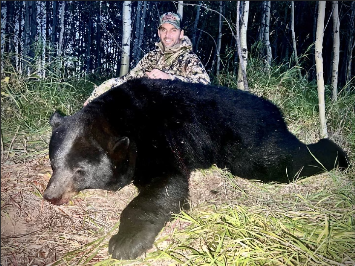 Black Bear
